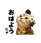 Rin ＆ Kuu Sticker（個別スタンプ：1）