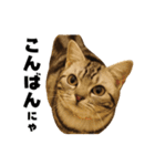 Rin ＆ Kuu Sticker（個別スタンプ：2）