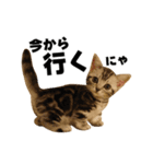 Rin ＆ Kuu Sticker（個別スタンプ：6）