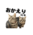 Rin ＆ Kuu Sticker（個別スタンプ：7）