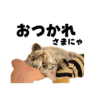 Rin ＆ Kuu Sticker（個別スタンプ：8）