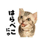 Rin ＆ Kuu Sticker（個別スタンプ：9）