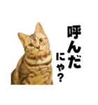 Rin ＆ Kuu Sticker（個別スタンプ：23）