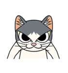 猫空手(弟子編)（個別スタンプ：1）