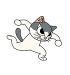 猫空手(弟子編)（個別スタンプ：9）