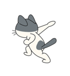 猫空手(弟子編)（個別スタンプ：14）