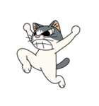 猫空手(弟子編)（個別スタンプ：16）