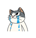 猫空手(弟子編)（個別スタンプ：23）