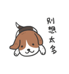 Little hot dog（個別スタンプ：16）