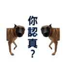 woohoo2.0（個別スタンプ：3）