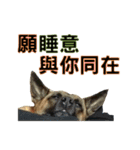 woohoo2.0（個別スタンプ：14）