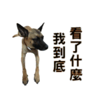 woohoo2.0（個別スタンプ：19）