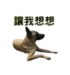 woohoo2.0（個別スタンプ：24）