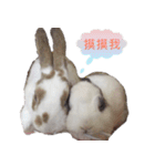 Two Rabbits' Life（個別スタンプ：1）