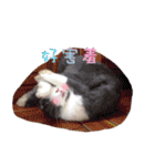 Two Rabbits' Life（個別スタンプ：14）