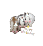 Two Rabbits' Life（個別スタンプ：18）