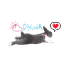 Two Rabbits' Life（個別スタンプ：20）