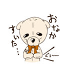 家族で使えるゆるくまスタンプ☆（個別スタンプ：14）