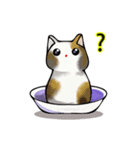 David The Cat: Cat's Restaurant vol.1（個別スタンプ：5）
