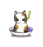 David The Cat: Cat's Restaurant vol.1（個別スタンプ：6）