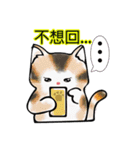 David The Cat: Cat's Restaurant vol.1（個別スタンプ：14）