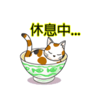 David The Cat: Cat's Restaurant vol.1（個別スタンプ：15）