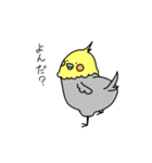 ゆるーいトリたち（個別スタンプ：20）