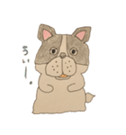 フレンチブルドッグズ。（個別スタンプ：1）