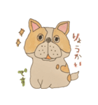 フレンチブルドッグズ。（個別スタンプ：3）