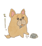 フレンチブルドッグズ。（個別スタンプ：5）