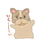 フレンチブルドッグズ。（個別スタンプ：7）
