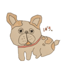 フレンチブルドッグズ。（個別スタンプ：10）