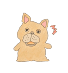 フレンチブルドッグズ。（個別スタンプ：12）
