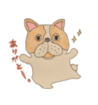 フレンチブルドッグズ。（個別スタンプ：14）