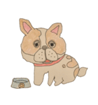 フレンチブルドッグズ。（個別スタンプ：16）