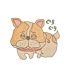 フレンチブルドッグズ。（個別スタンプ：30）