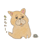 フレンチブルドッグズ。（個別スタンプ：33）