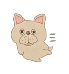 フレンチブルドッグズ。（個別スタンプ：38）