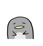ペンギンの毎日（個別スタンプ：12）