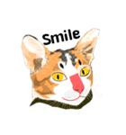 Cute Orange Cat（個別スタンプ：1）