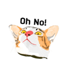 Cute Orange Cat（個別スタンプ：2）