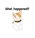 Cute Orange Cat（個別スタンプ：3）