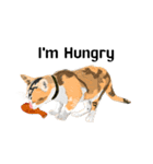 Cute Orange Cat（個別スタンプ：4）