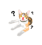 Cute Orange Cat（個別スタンプ：6）