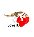 Cute Orange Cat（個別スタンプ：7）