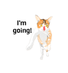 Cute Orange Cat（個別スタンプ：8）