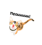 Cute Orange Cat（個別スタンプ：10）