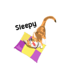 Cute Orange Cat（個別スタンプ：11）