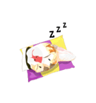 Cute Orange Cat（個別スタンプ：13）