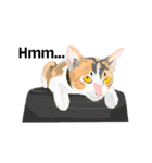 Cute Orange Cat（個別スタンプ：16）